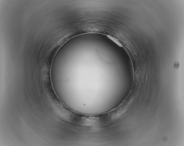 X0000091570359200709051044