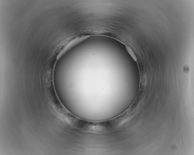 X0000091570360200709051044