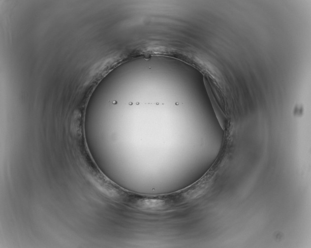 X0000091570361200709051044