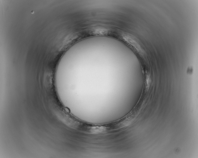 X0000091570363200709051044