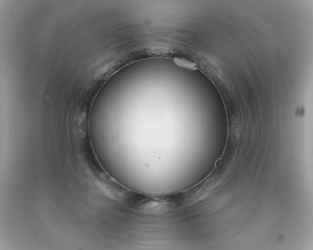 X0000091570364200709051044