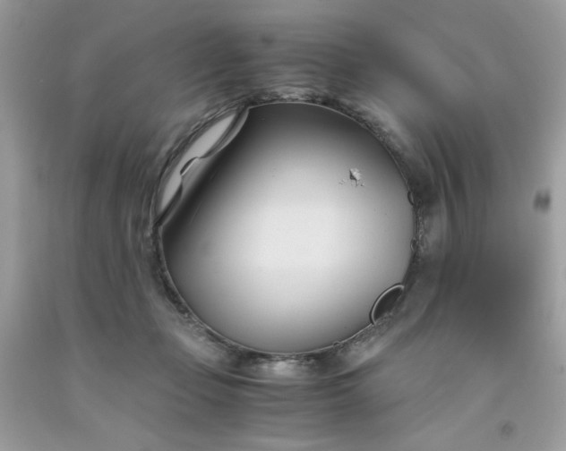 X0000091570365200709051044