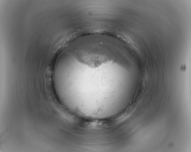 X0000091570366200709051044