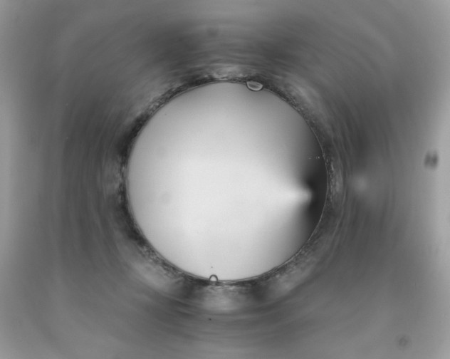 X0000091570367200709051044