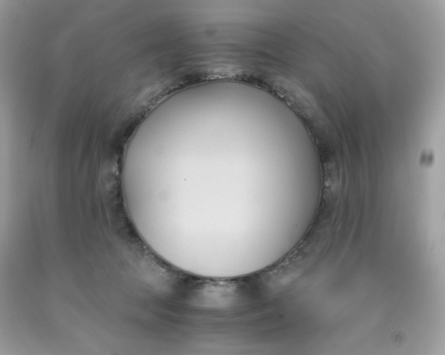 X0000091570369200709051044