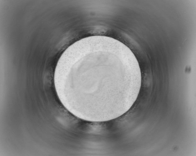 X0000091570370200709051044