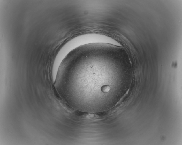 X0000091570372200709051044