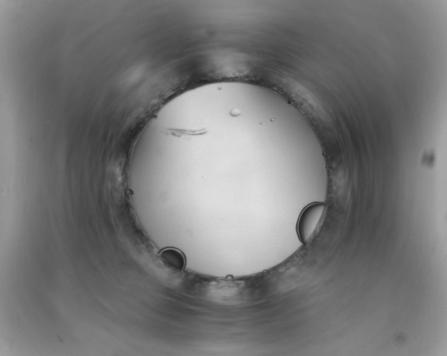 X0000091570373200709051044