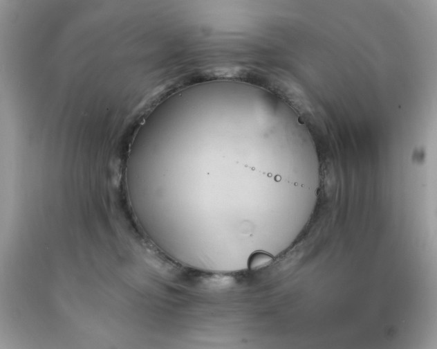 X0000091570374200709051044