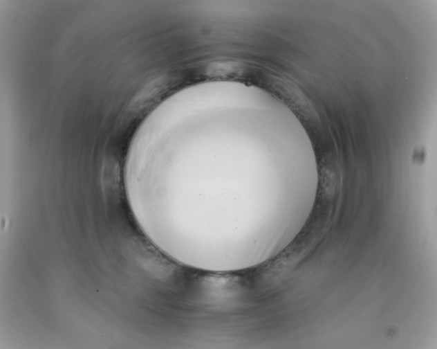 X0000091570375200709051044