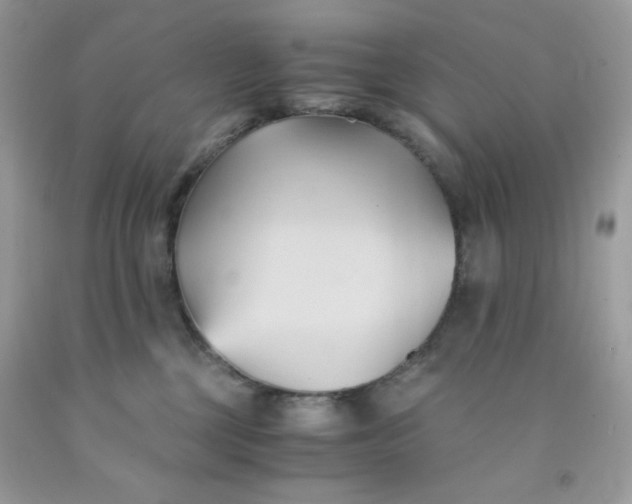 X0000091570377200709051044