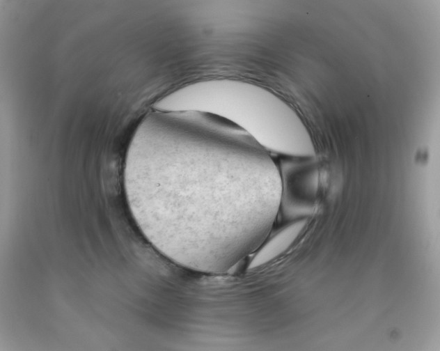 X0000091570378200709051044