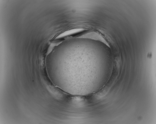 X0000091570380200709051044