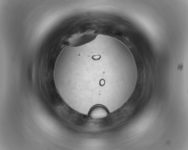 X0000091570382200709051044