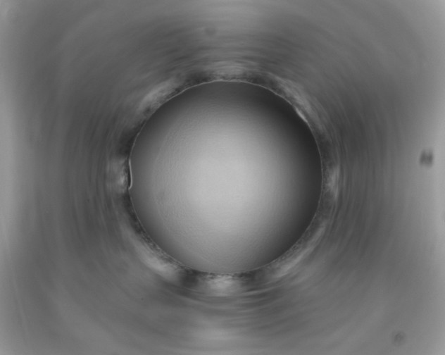 X0000091570383200709051044