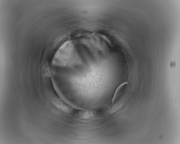 X0000091570384200709051044