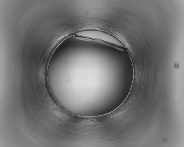X0000091570386200709051043