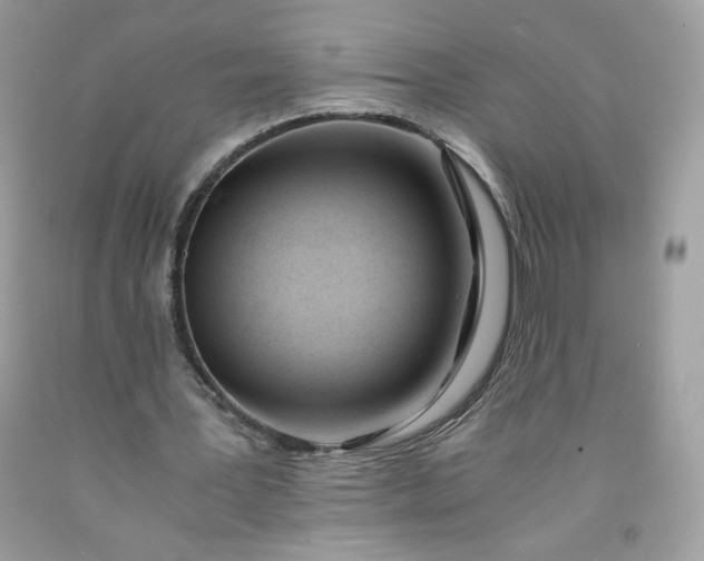 X0000091570387200709051043