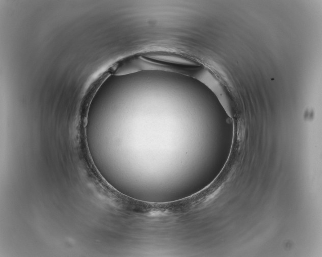 X0000091570388200709051043