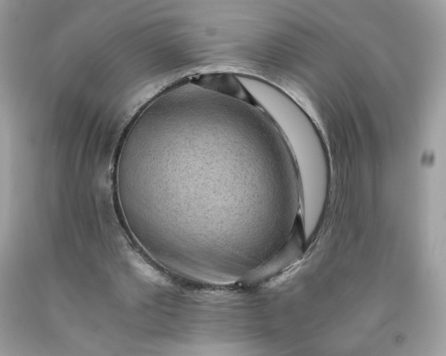 X0000091570389200709051043