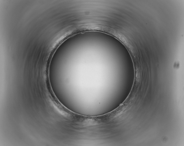 X0000091570390200709051043