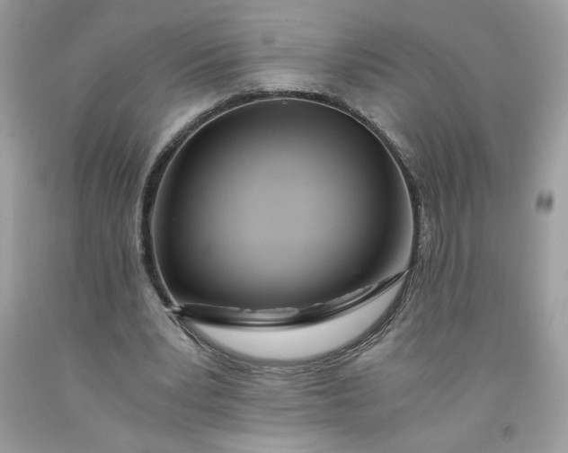 X0000091570391200709051043