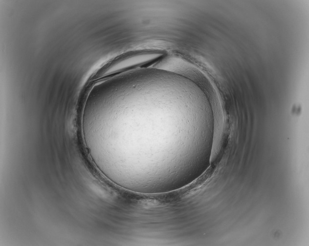 X0000091570392200709051043