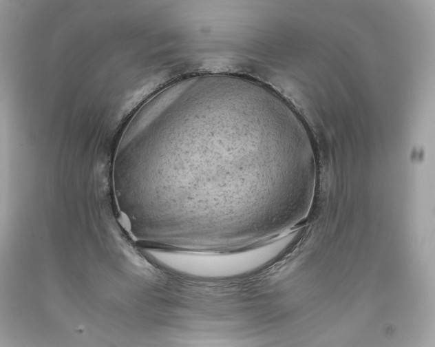 X0000091570393200709051043