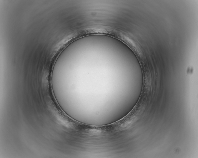 X0000091570394200709051043