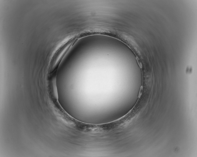 X0000091570395200709051043