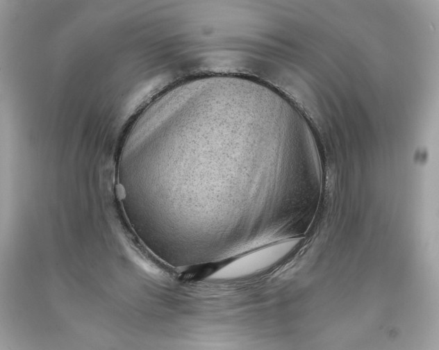 X0000091570397200709051043