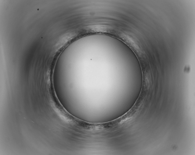 X0000091570398200709051043
