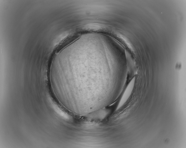 X0000091570399200709051043