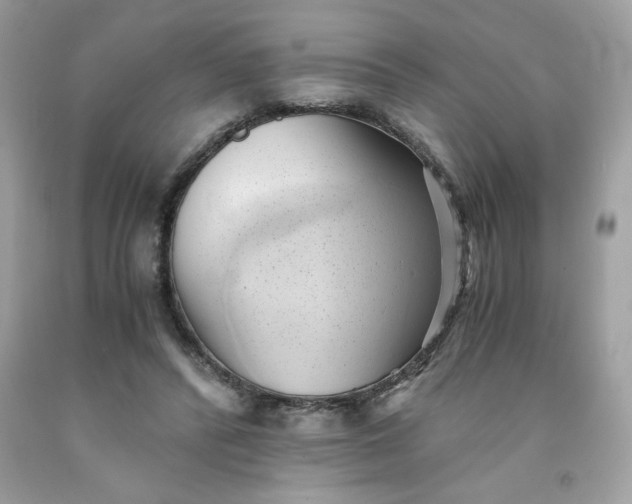 X0000091570400200709051043
