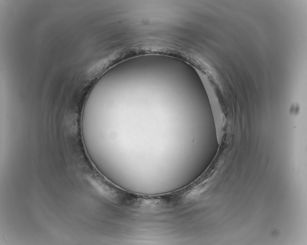 X0000091570401200709051043