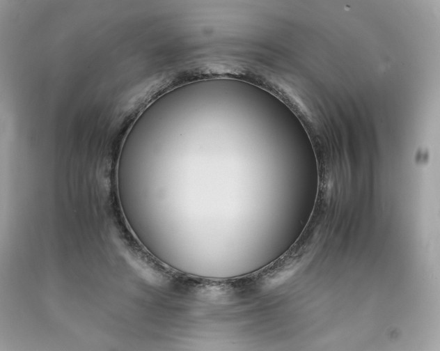 X0000091570402200709051043