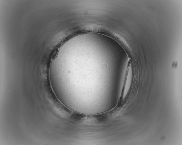X0000091570403200709051043