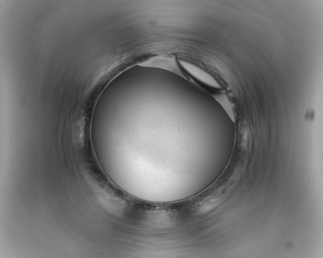 X0000091570404200709051043