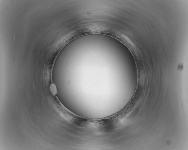 X0000091570405200709051043