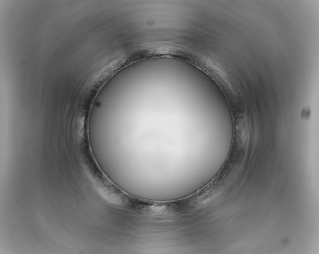 X0000091570406200709051043