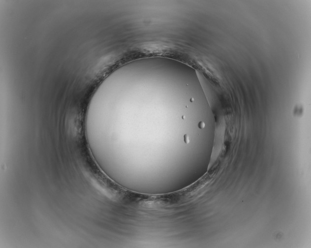 X0000091570408200709051043