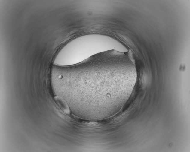X0000091570409200709051043