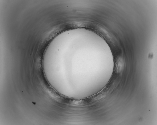 X0000091570410200709051043