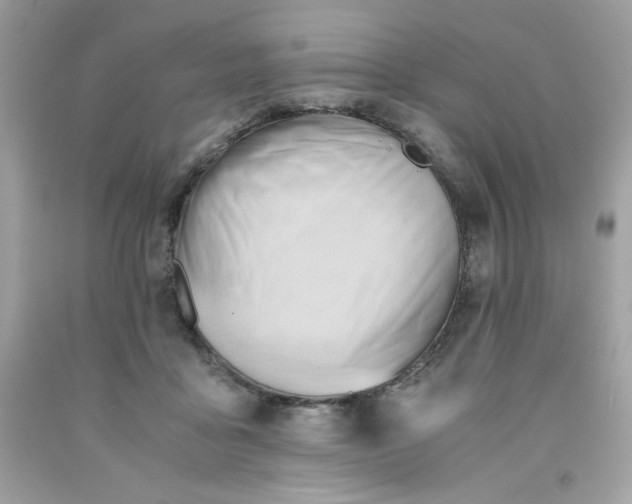 X0000091570411200709051043