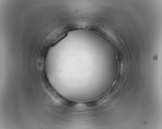 X0000091570413200709051043