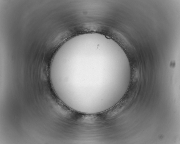 X0000091570414200709051043