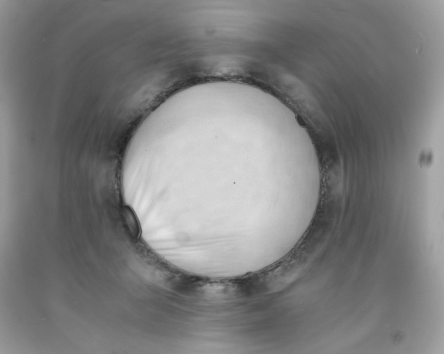 X0000091570415200709051043
