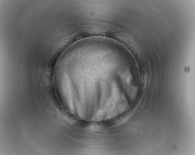 X0000091570416200709051043