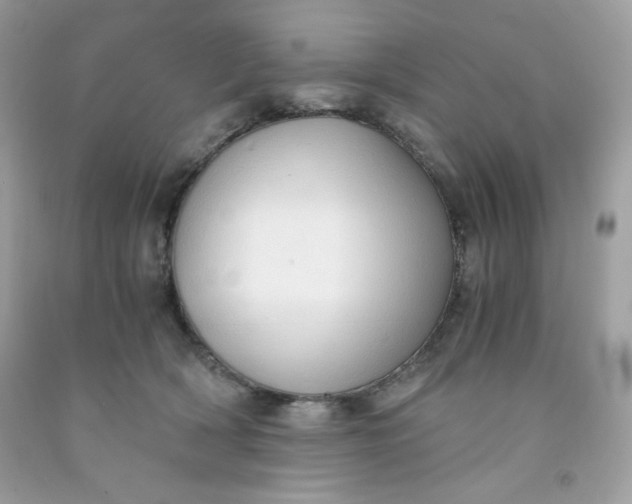 X0000091570418200709051043