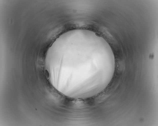 X0000091570419200709051043